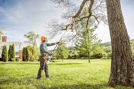 Best Emergency Tree Removal  in Weidman, MI